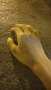 [photo](media:AgADBQADDqgxG5Jl2VT990JUlH8mbBUZzDIABPS5J2e7A2cfAToEAAEC@telegram)