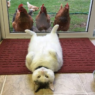 [photo](media:AgADBQADDqoxG8m4uFVJMjyxYXfA5_mz-TIABAEAAwIAA20AA79XBQABFgQ@telegram)