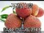 [photo](media:AgADBQADFagxG1YbsVQLrWBOtKFOnyhD1jIABPekY_Cr6M83BgEBAAEC@telegram)