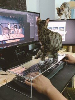 [photo](media:AgADBQADHakxG-yywVbaSENxagXyQD6MAjMABAEAAwIAA20AA3WwAAIWBA@telegram)