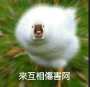 [photo](media:AgADBQADHqgxG-ciyFZ0m4x6NWKpYQ1S1TIABNb38JveT8WPDkICAAEC@telegram)