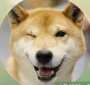 [photo](media:AgADBQADHqgxG0dMyFfeDthWgh6nzPhl2zIABBHn1bQqVmMkgwUEAAEC@telegram)