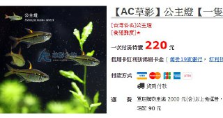 [photo](media:AgADBQADK6kxG3BN-FXW9rkZAe-3JIil-TIABAEAAwIAA20AA9TbAAIWBA@telegram)