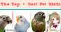 [photo](media:AgADBQADK6oxGy-_EAjabA9qHxZPms4AAb4yAARJdj5cI6PbD0rqAQABAg@telegram)