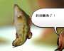 [photo](media:AgADBQADL6gxG7EX8FbG4fTQUDjCBxuv0zIABDQten8kjmsqwh0AAgI@telegram)