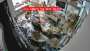 [photo](media:AgADBQADN7UxGy-_EAjKJa-7lvY9eSfuvzIABLWv4wp8z8ulD5cBAAEC@telegram)