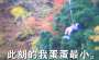 [photo](media:AgADBQADOKkxGydtyVTNnhklthoondlt3jIABO9cThOvs6drf3EBAAEC@telegram)
