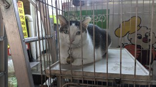 [photo](media:AgADBQADPKoxG8772FXSA3cMU_l55IePAjMABAEAAwIAA20AAwGFBAABFgQ@telegram)