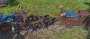 [photo](media:AgADBQADQagxG2g6OFeQRU5TaqMv0IZc2zIABDGQe0ZFmzGrl0UBAAEC@telegram)