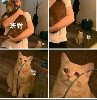 [photo](media:AgADBQADR6kxGwUI8VXev5TXjq0PjbGD-TIABAEAAwIAA20AA385BgABFgQ@telegram)