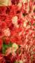 [photo](media:AgADBQADTKgxG37IOFSsAAFkYGfmgYogcd8yAAReHKKvkPadRGhxAAIC@telegram)