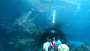 [photo](media:AgADBQADTKgxGxCwuFaNU6H3mJ043Jab1jIABETSEfDDT-oGn7sAAgI@telegram)