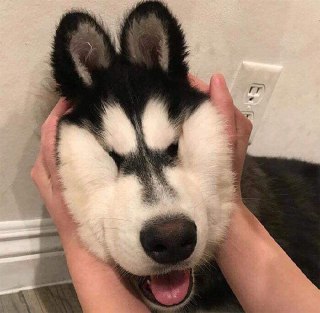 [photo](media:AgADBQADX6kxGw8m8Fd9vcgJGhwFNpCzJTMABAEAAwIAA20AA_oxAQABFgQ@telegram)