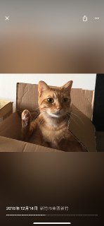[photo](media:AgADBQADZqkxG5FCyFfV9KXWVH7QW7oVGzMABAEAAwIAA20AA-yhAQABFgQ@telegram)