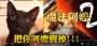 [photo](media:AgADBQAD_6cxG6JK6FcxL6h26N3n5RIgzDIABHqIgygwopM35KoDAAEC@telegram)