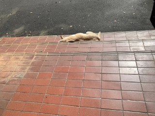 [photo](media:AgADBQAD_6gxG6eqqFbmq7QUeS4JGH8iGzMABAEAAwIAA20AAw9wAAIWBA@telegram)
