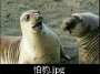 [photo](media:AgADBQADbKgxG1IqCVUFEQMMtTwwOZGd1jIABHnpuVZ3c4v4HkwCAAEC@telegram)