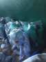 [photo](media:AgADBQADdagxG0CJcFUGqkD1R2iTllxS9jIABO56cyOY1foy7MAFAAEC@telegram)