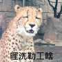 [photo](media:AgADBQADdqgxGx9LIFYZ1YGz7wzb_pth2zIABFstHJ7vJCM7VGIAAgI@telegram)