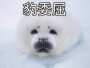 [photo](media:AgADBQADeagxG9JF6FYH5wwGj_v-Vk5e9jIABDw1mBotYtV2hvAAAgI@telegram)