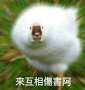 [photo](media:AgADBQADh6gxG1Yp0VSPIWlFlLEVBEks1TIABMY6l35O9DKYjSIBAAEC@telegram)