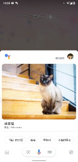 [photo](media:AgADBQADhKkxG9lXAVSoWvE4dYiPiyi8JTMABAEAAwIAA20AA1dKAQABFgQ@telegram)