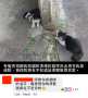 [photo](media:AgADBQADjagxGyES2FU8ho-pLT3Vc3Jb2zIABOmDVO6SVdrXrSgAAgI@telegram)