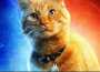 [photo](media:AgADBQADragxG7QWMFQeWh4ZZmd7yWJl2zIABNma4ld30_fB9T0EAAEC@telegram)