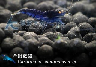 [photo](media:AgADBQADuKgxG_ABAAFWLrKDjxTxGH_IgfkyAAQBAAMCAANtAAMqggEAARYE@telegram)