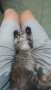 [photo](media:AgADBQADwqgxG2sn2Ve19W17iIktAWpM9jIABE5MnKCbyGJM1kIEAAEC@telegram)