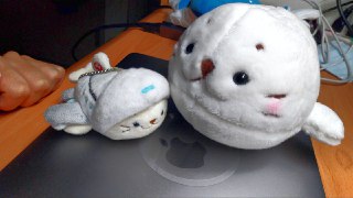 [photo](media:AgADBQADxqoxGyjNCVTlSSHKjJa6FXKmJTMABAEAAwIAA20AA6xIAQABFgQ@telegram)